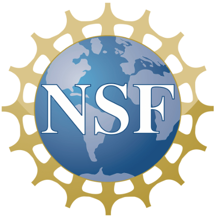 NSF NSF logo